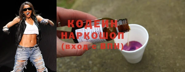 стаф Пересвет