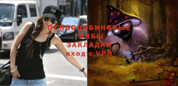 не бодяженный Переславль-Залесский
