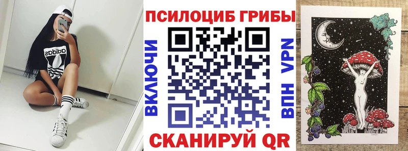 магазин продажи наркотиков  Островной  Галлюциногенные грибы Cubensis 